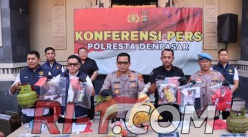 Polresta Denpasar Ungkap Pengoplosan LPG dan Solar Subsidi, Delapan Pelaku Diamankan